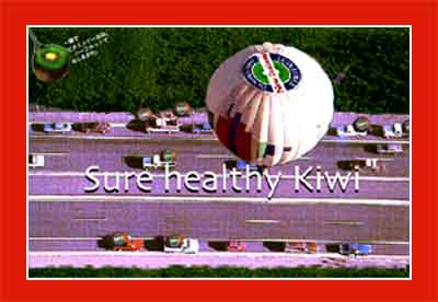kiwi.floteball.jpg